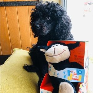 Meet your Posher, Brigid